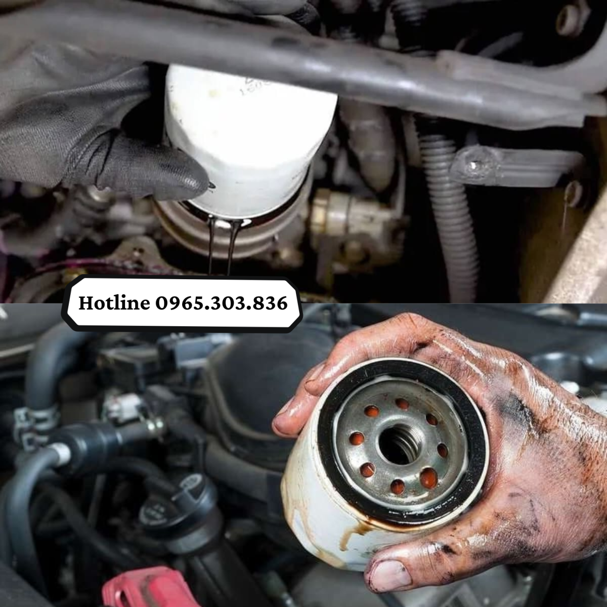 Bộ lọc dầu Diesel được áp dụng phổ biến ở đâu?