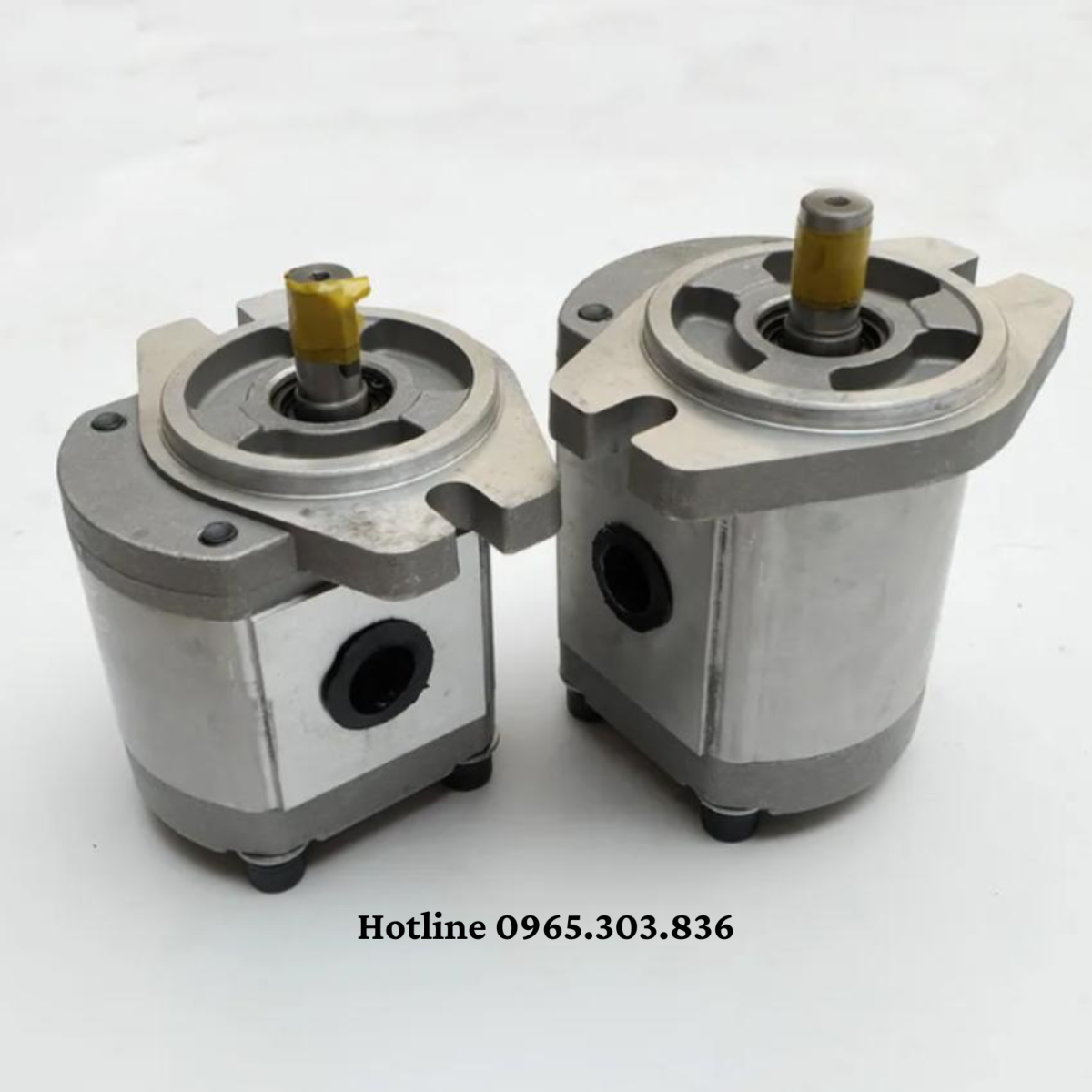 Bơm bánh răng IP10 và JP20 là gì?