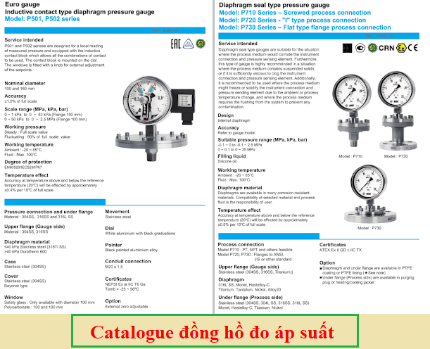 Catalogue đồng hồ đo áp suất
