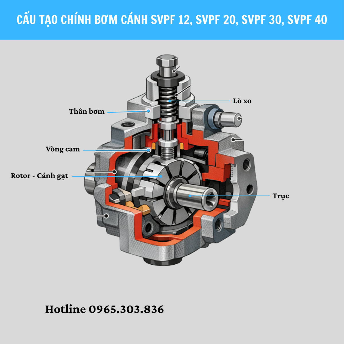 Cấu tạo và nguyên lý hoạt động của bơm cánh SVPF 12, SVPF 20, SVPF 30, SVPF 40