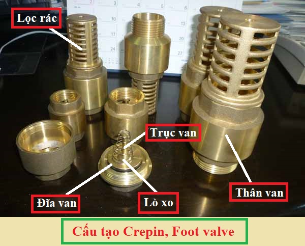 Cấu tạo crepin - Cấu tạo Foot valve
