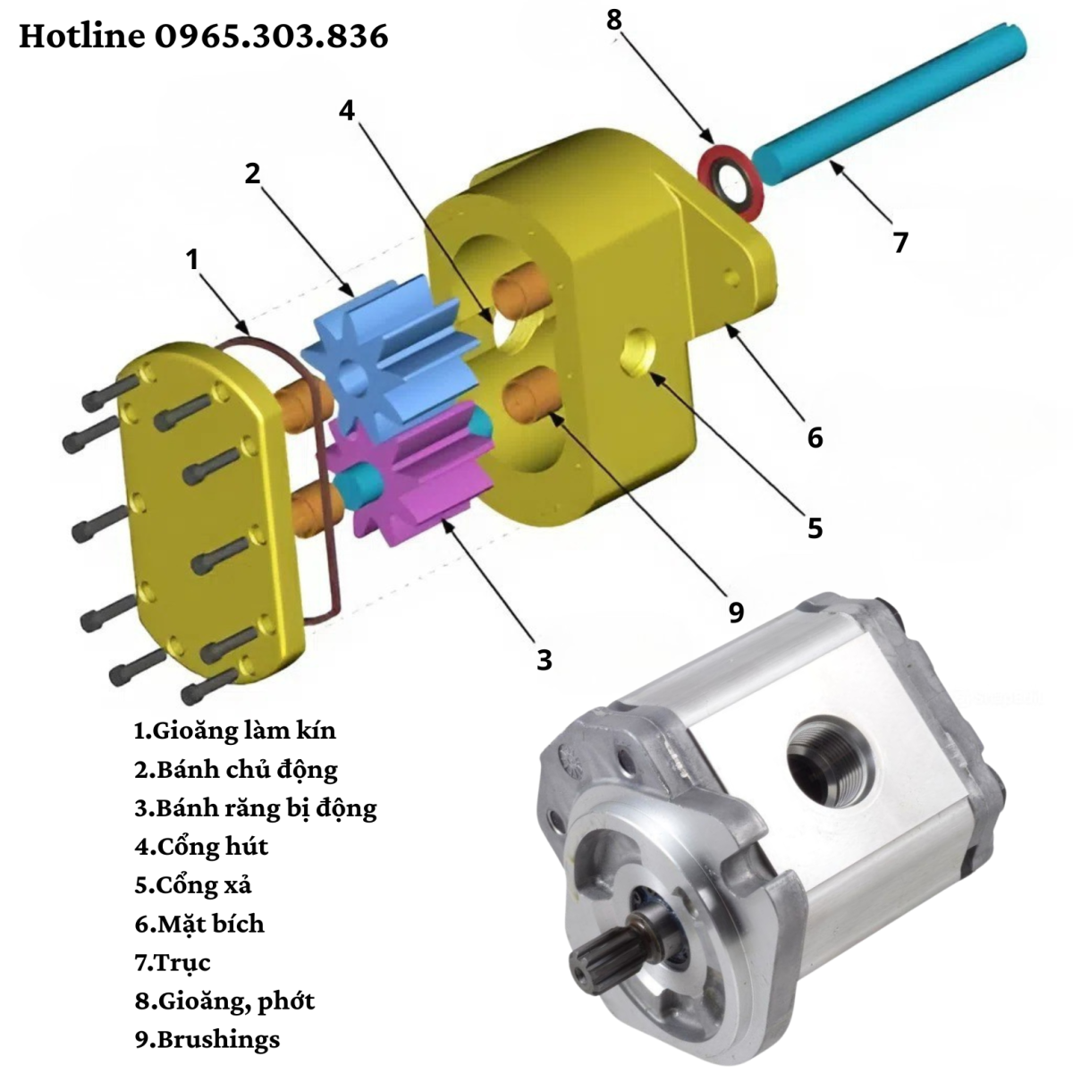 Cấu tạo và nguyên lý hoạt động bơm bánh răng HGP
