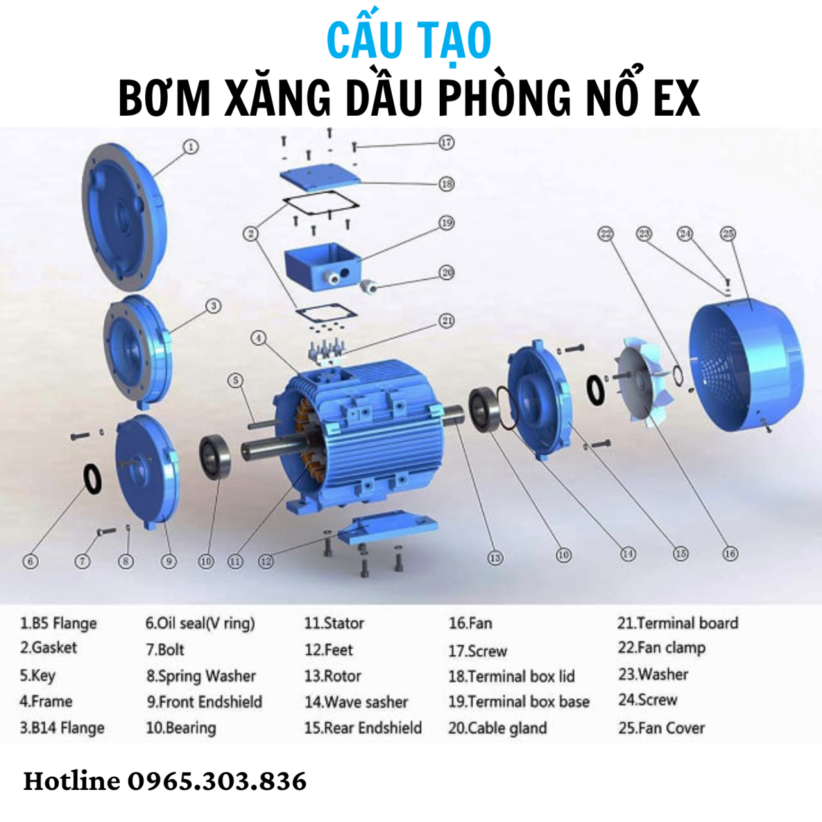 Cấu tạo và nguyên lý hoạt động bơm xăng dầu phòng nổ EX