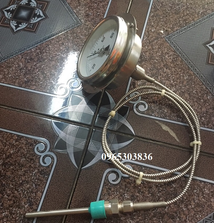 đồng hồ đo nhiệt độ dạng dây wise