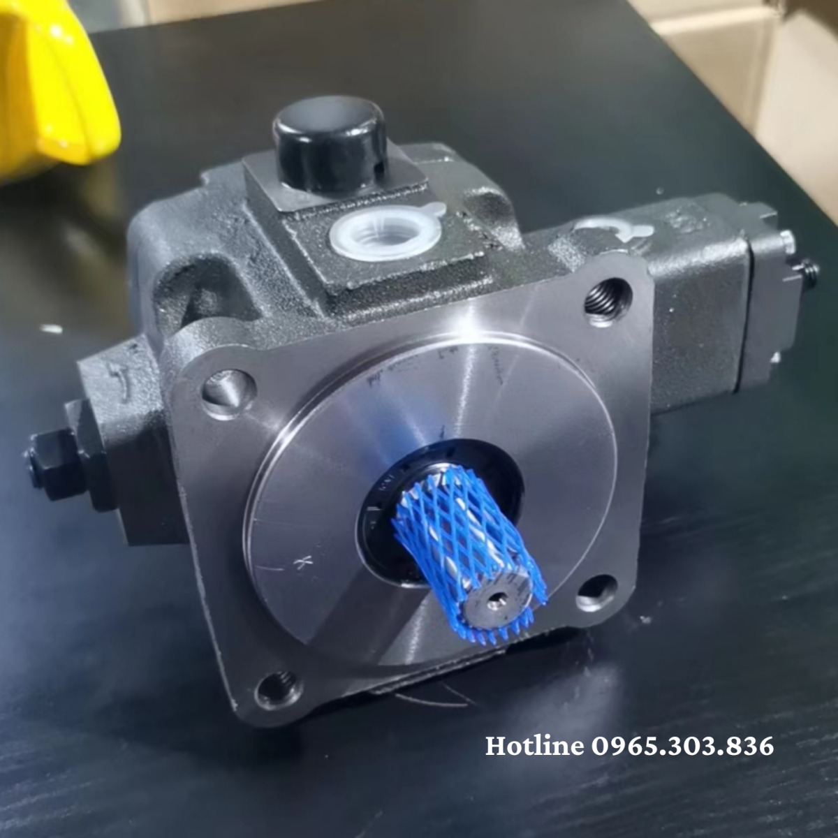 Giới thiệu bơm cánh SVPE 12, SVPF 20, SVPF 30, SVPF 40