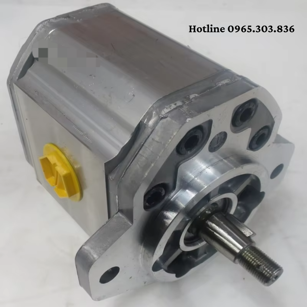 Hướng dẫn lắp đặt bơm bánh răng JP10 JP20