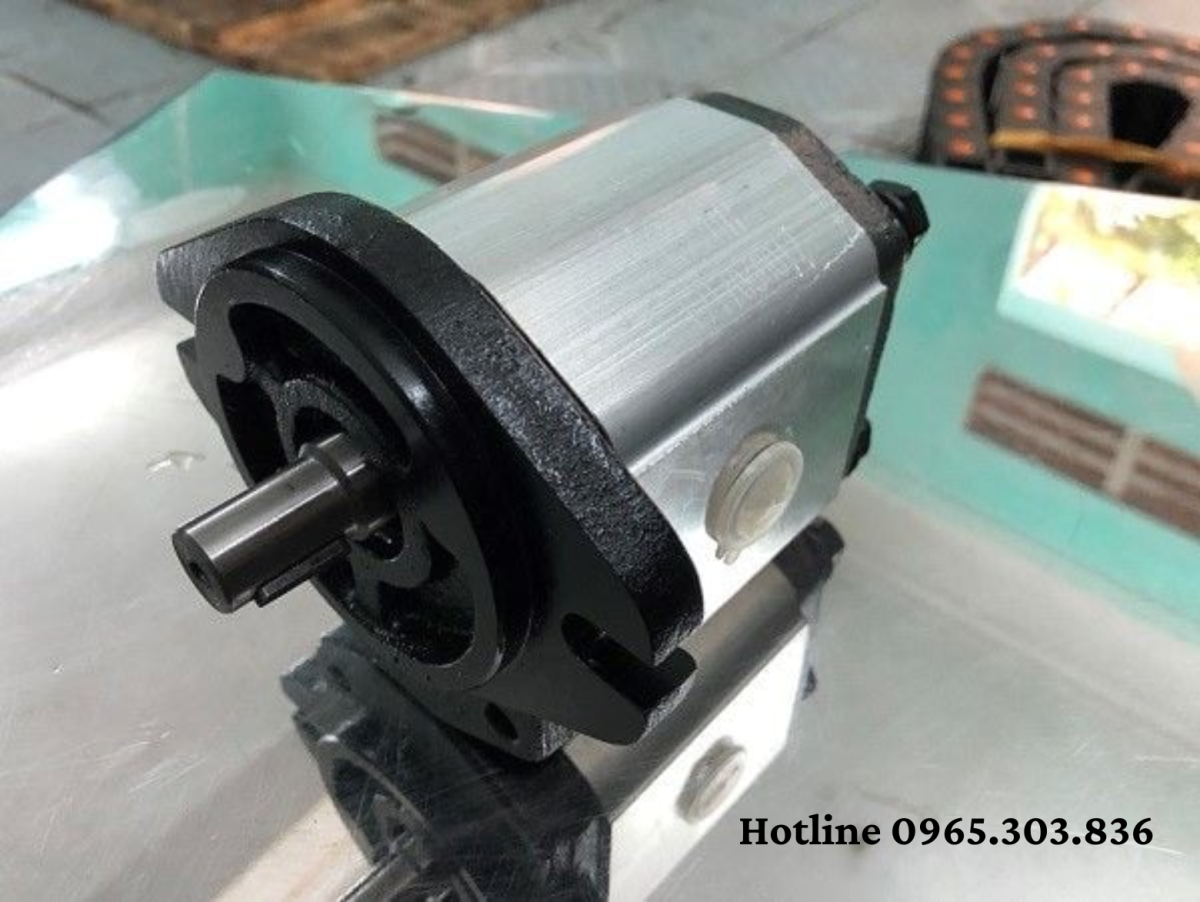 Thông số kỹ thuật bơm bánh răng JP10 và JP20