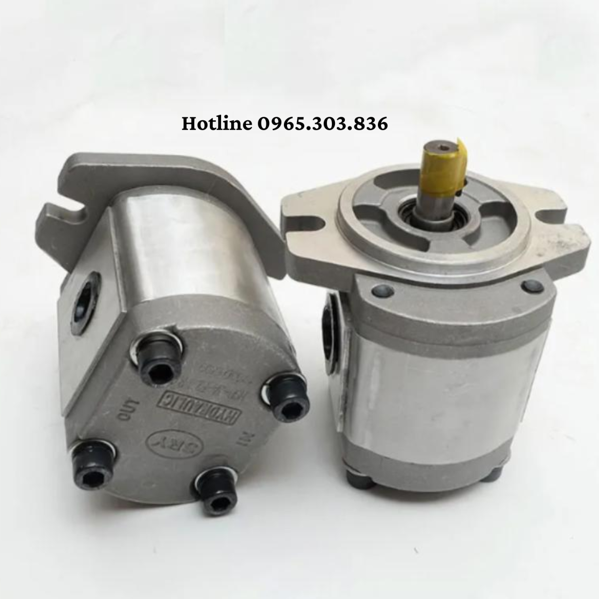 Ứng dụng bơm bánh răng JP10 IP20