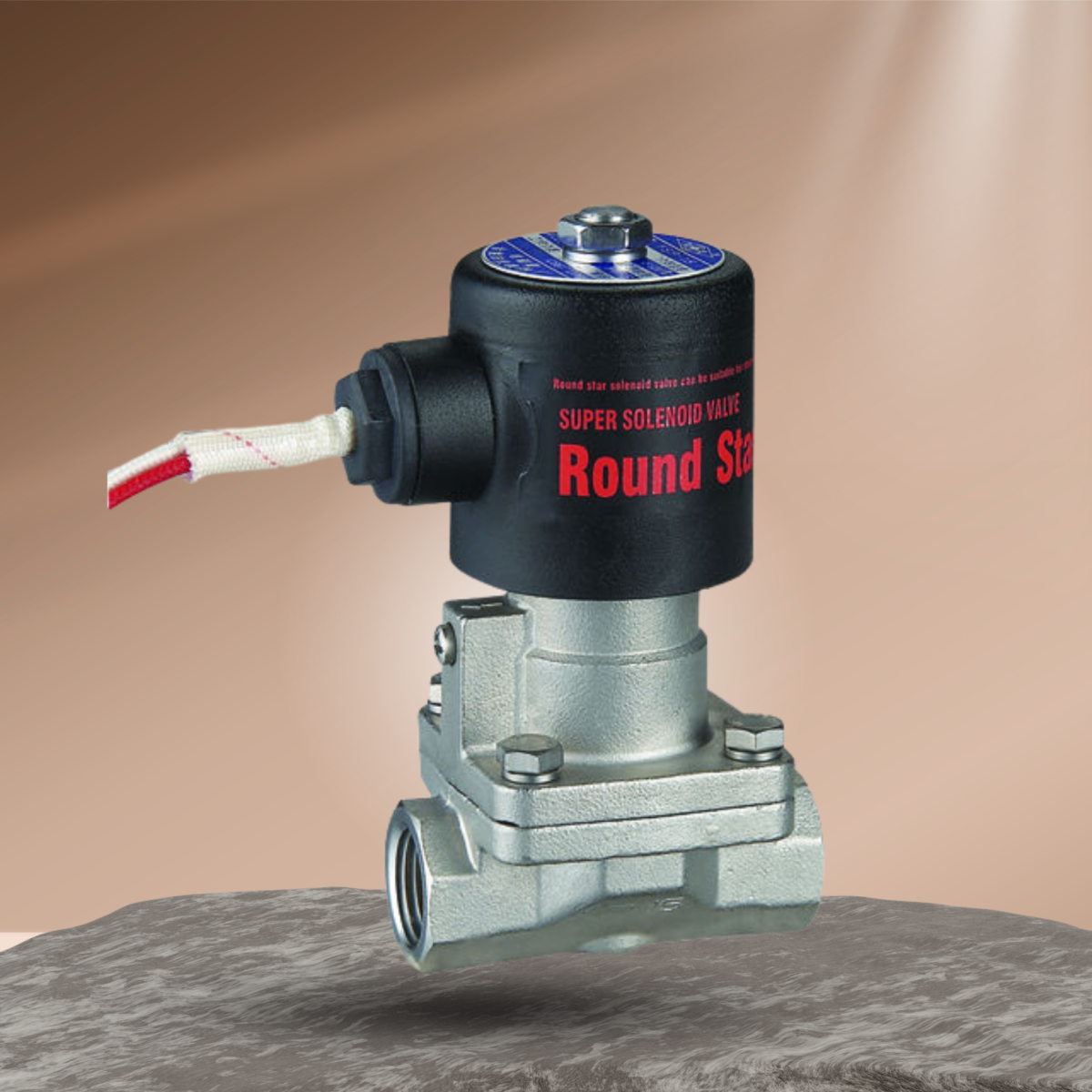 Van điện từ Round Star 110V AC