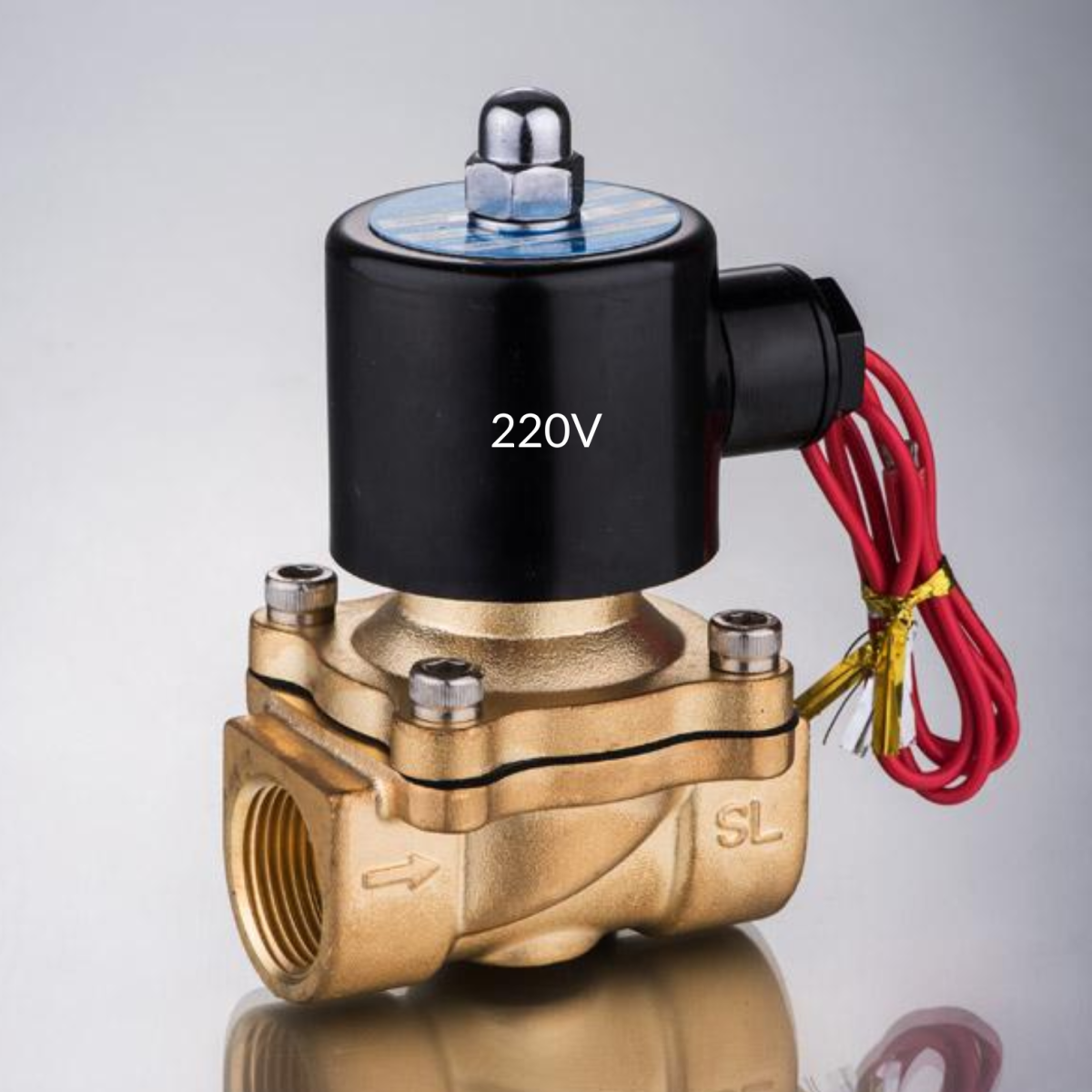 Van điện từ Round Star 220V AC