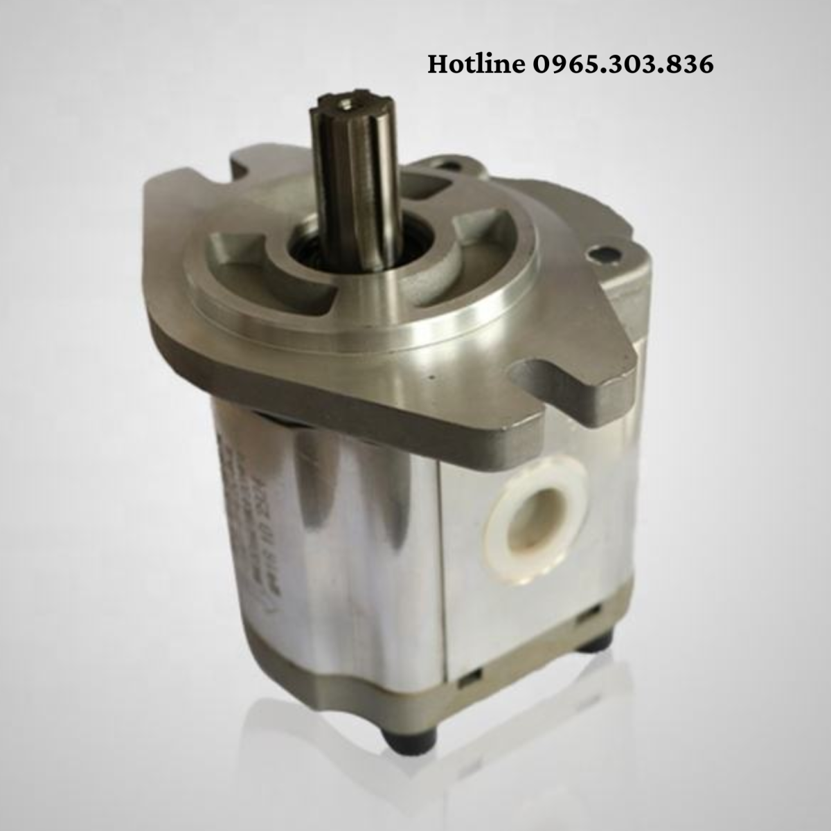 Vệ sinh bơm bánh răng JP10 JP20 đúng kỹ thuật