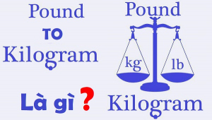 Pound to kg? Cách quy đổi giá trị pound sang kg chính xác và nhanh nhất