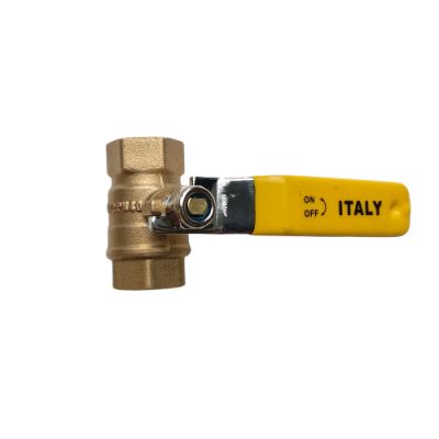 Van bi Italia